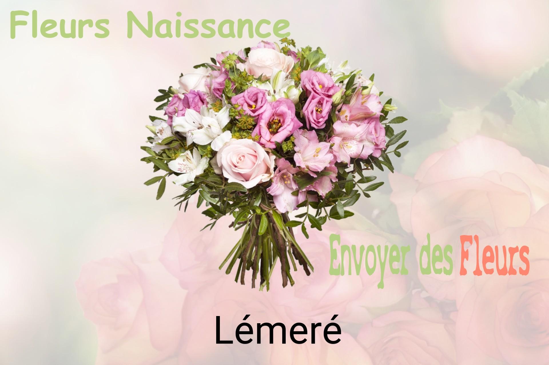 Bouquet de fleurs de naissance livré à Lémeré